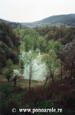 Zătonul Mic
