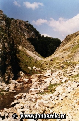 Cheile Băluţei