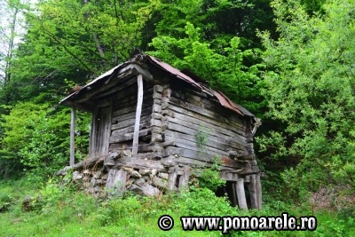 Moara crăcucenilor