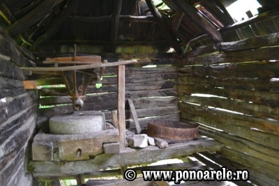 Moara crăcucenilor. Interior