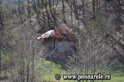Moara crăcucenilor