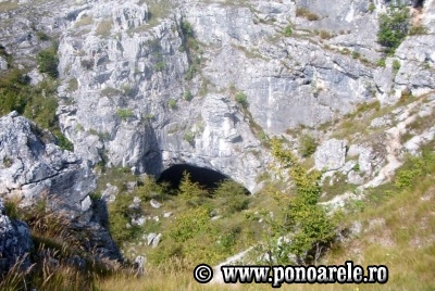Peştera Ponoarele