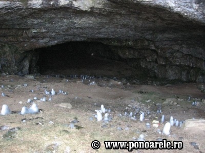 Peştera Ponoarele