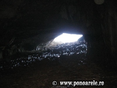 Peştera Ponoarele