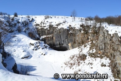 Peştera Ponoarele