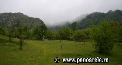Steiul Ponorii
