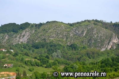 Steiul Ponorii