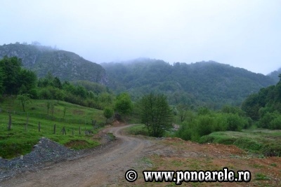 Valea Morilor