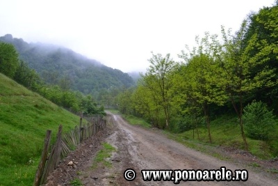 Valea Morilor